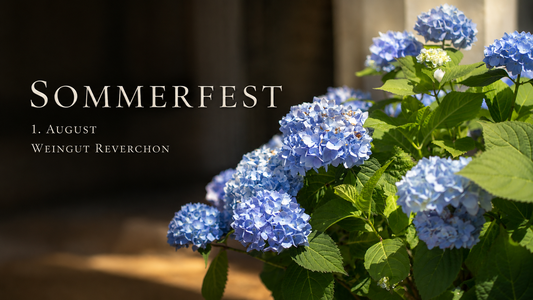 Sommerfest 2026 - Hoffest im Weingut Reverchon